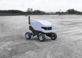 Robot Delivery Startup